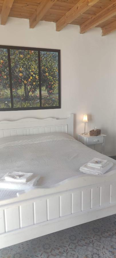 Psinthos Maison De Village Au Calme - Alonia Village House מראה חיצוני תמונה