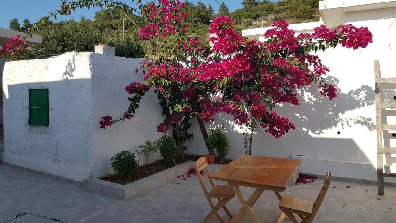 Psinthos Maison De Village Au Calme - Alonia Village House מראה חיצוני תמונה